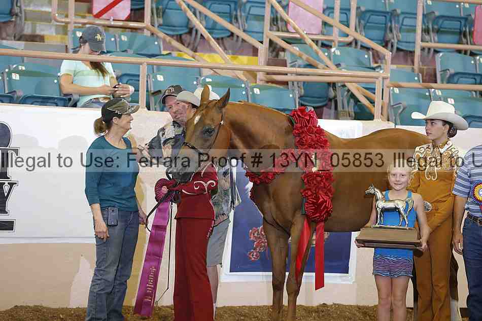 Proof 13yn_05853