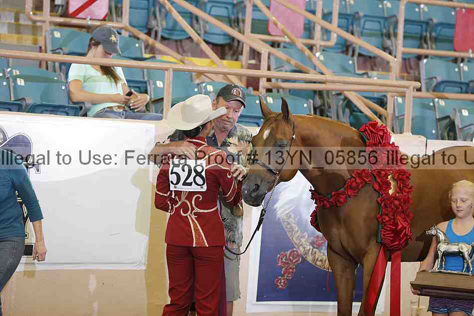 Proof 13yn_05856