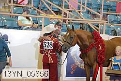 13yn_05856 proof