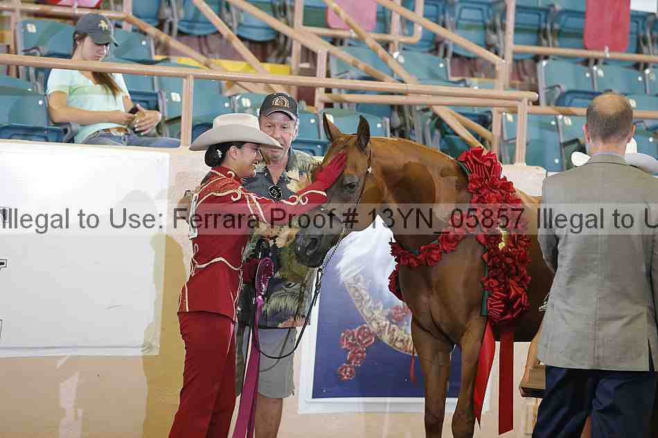 Proof 13yn_05857