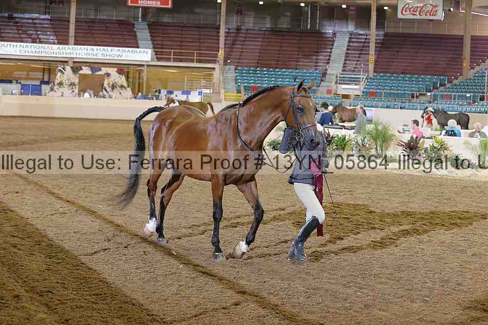Proof 13yn_05864
