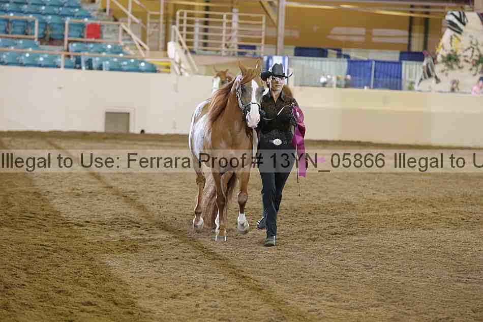 Proof 13yn_05866