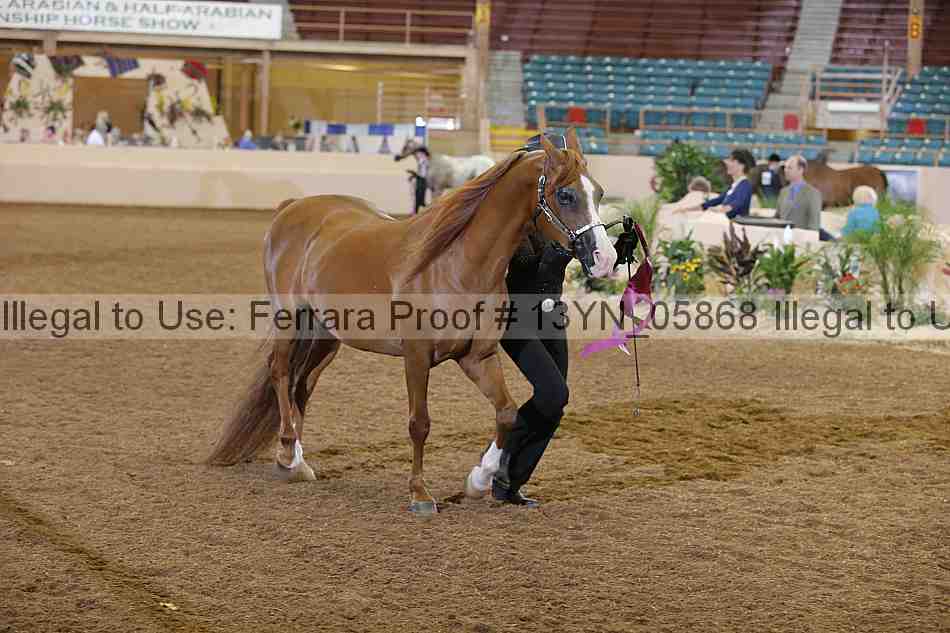 Proof 13yn_05868