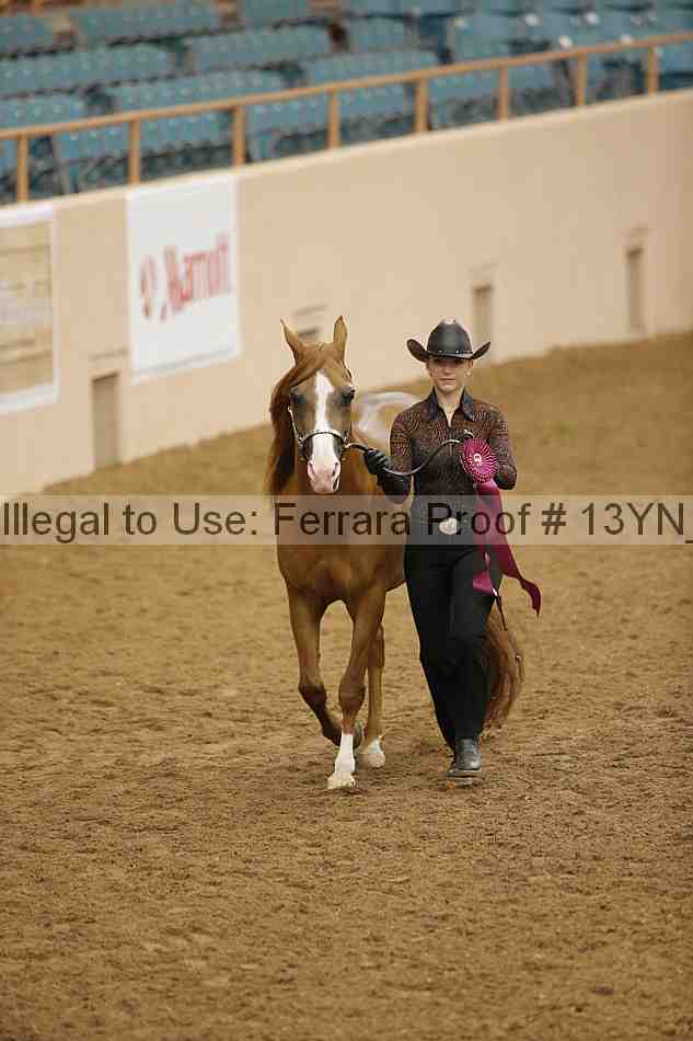 Proof 13yn_05870