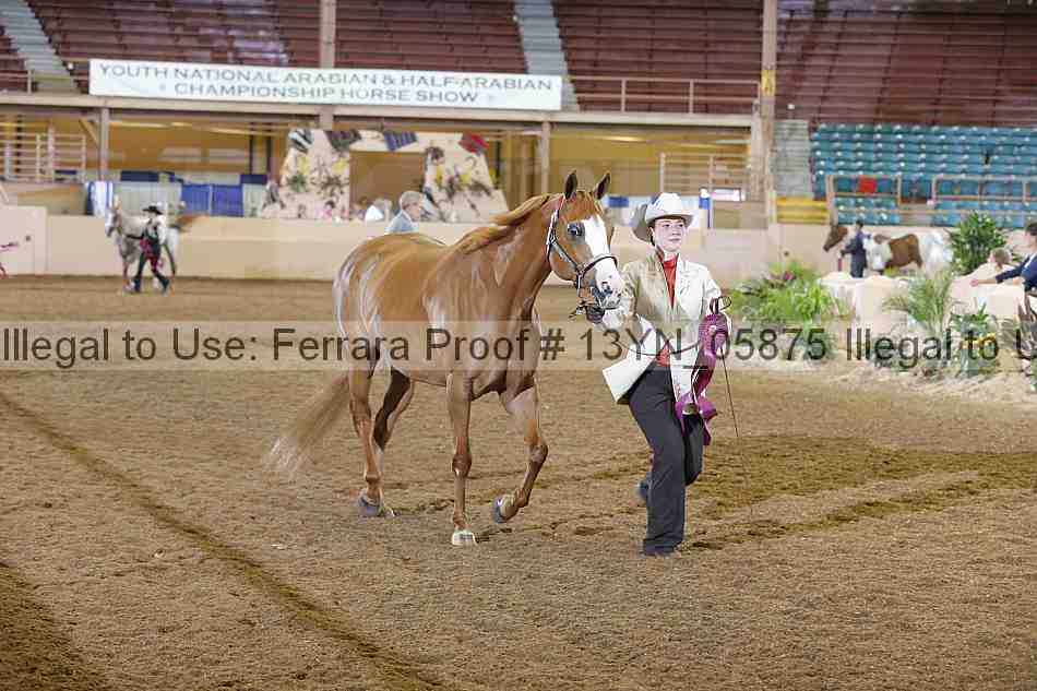 Proof 13yn_05875