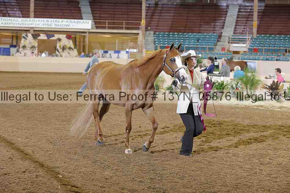 Proof 13yn_05876