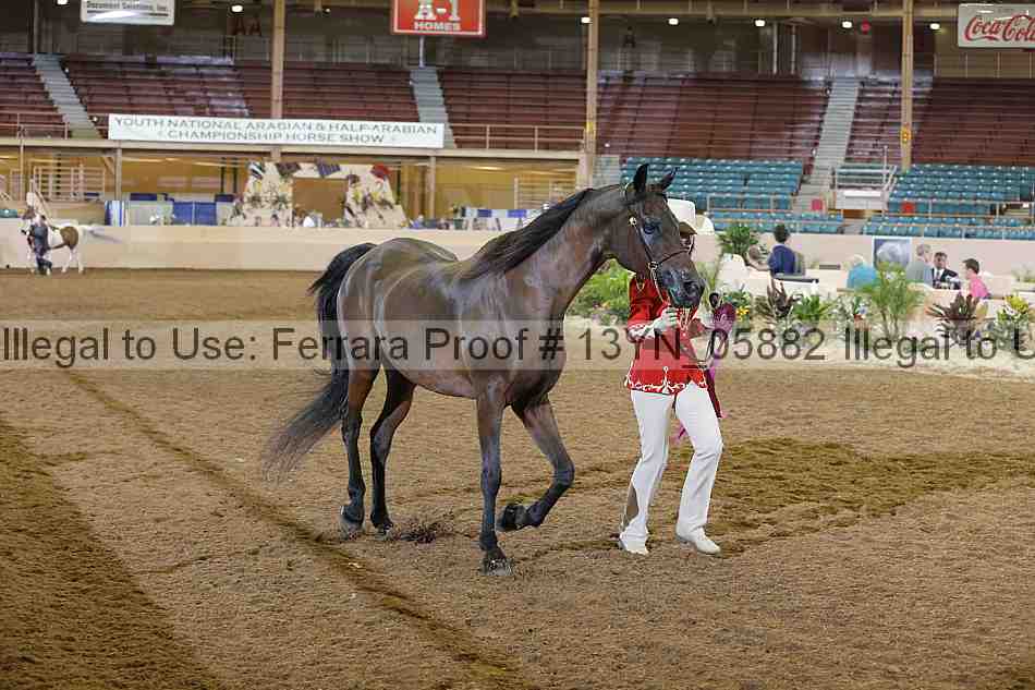 Proof 13yn_05882