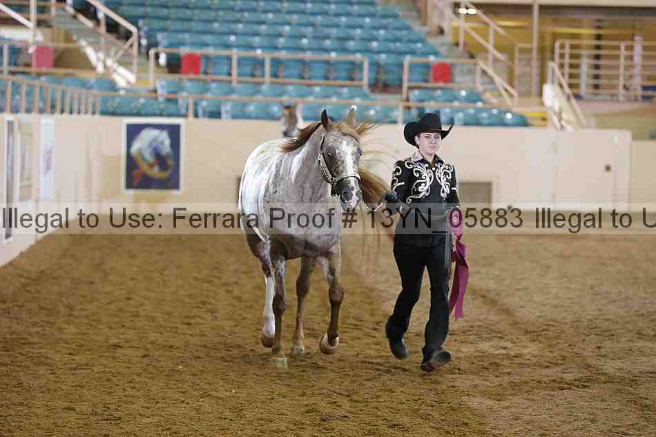 Proof 13yn_05883
