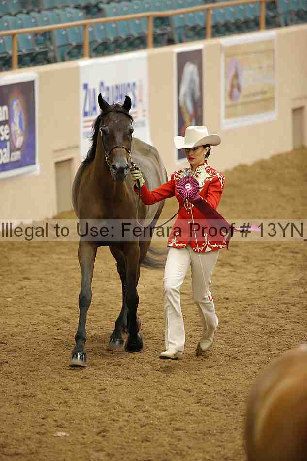 Proof 13yn_05885