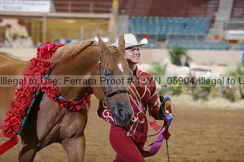 Proof 13yn_05904