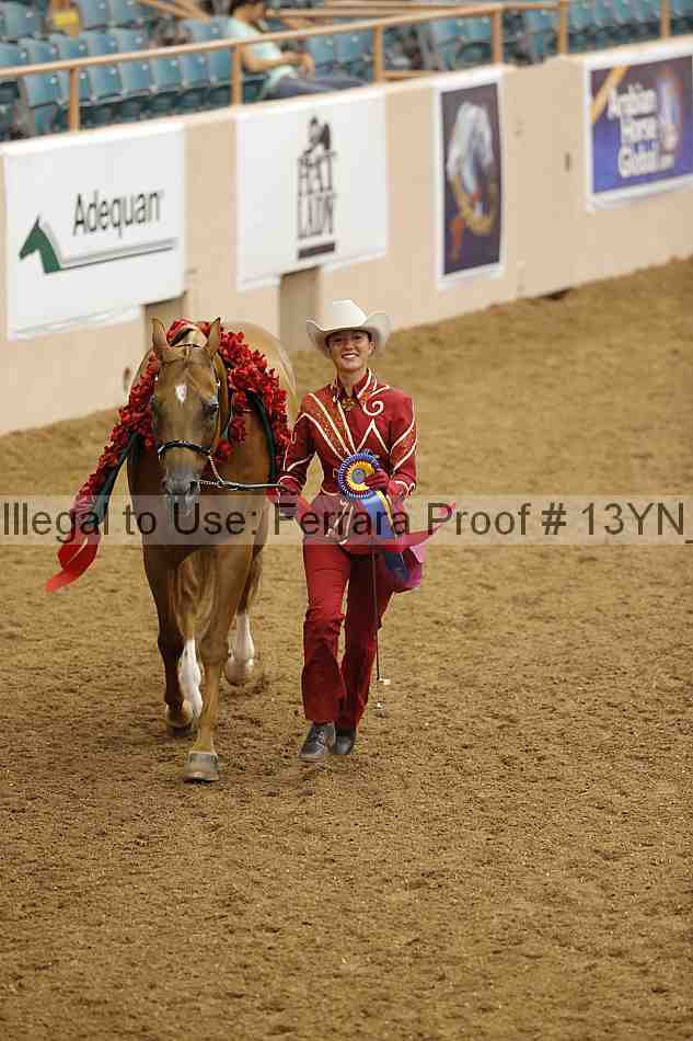 Proof 13yn_05908