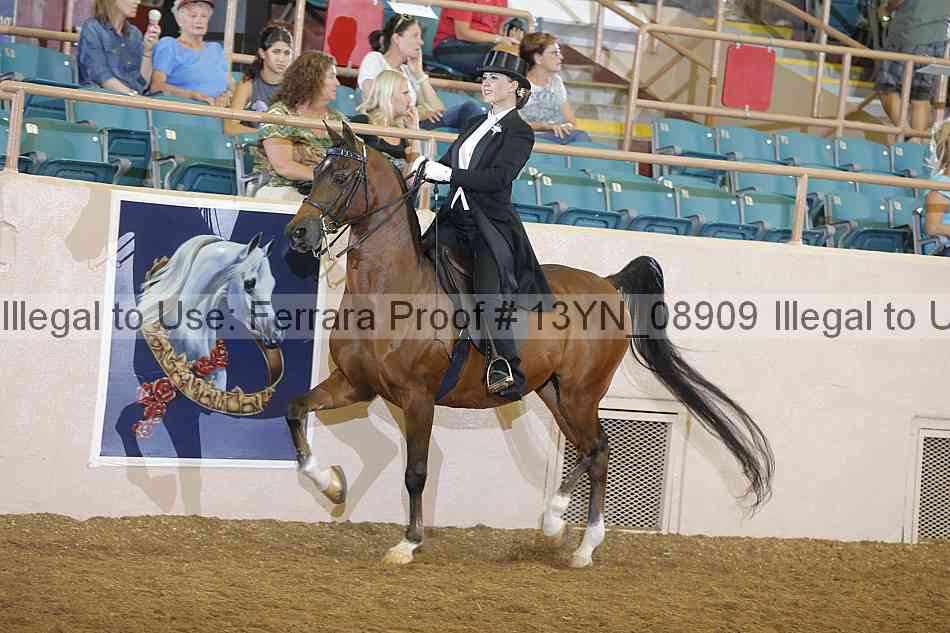 Proof 13yn_08909