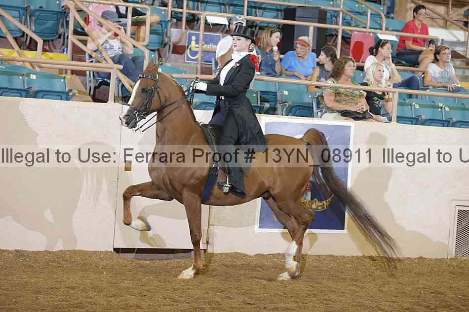 Proof 13yn_08911