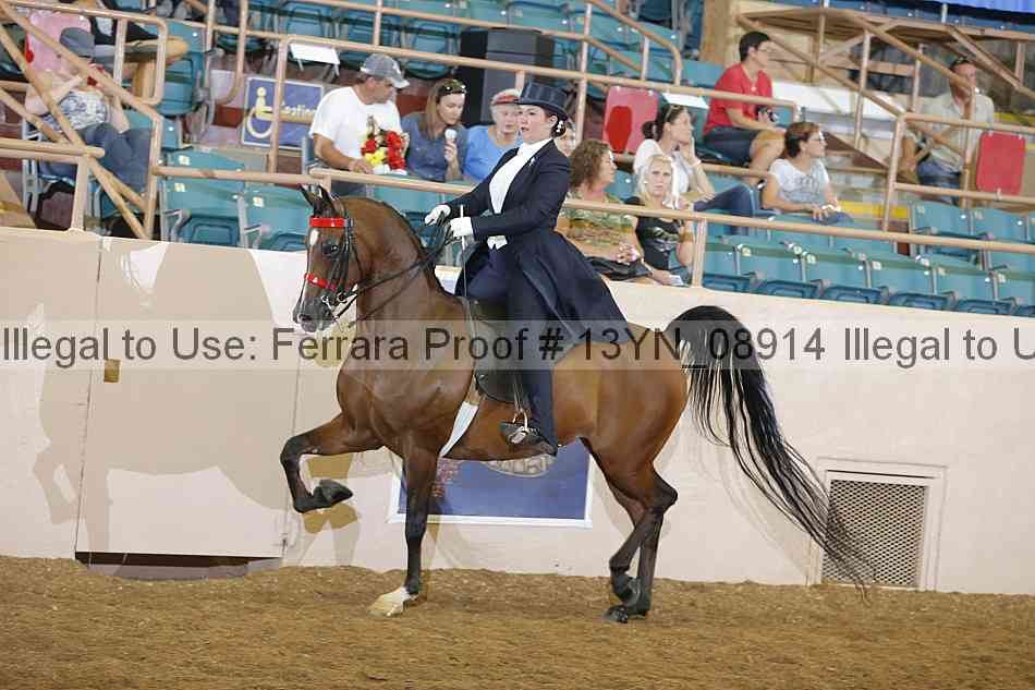 Proof 13yn_08914