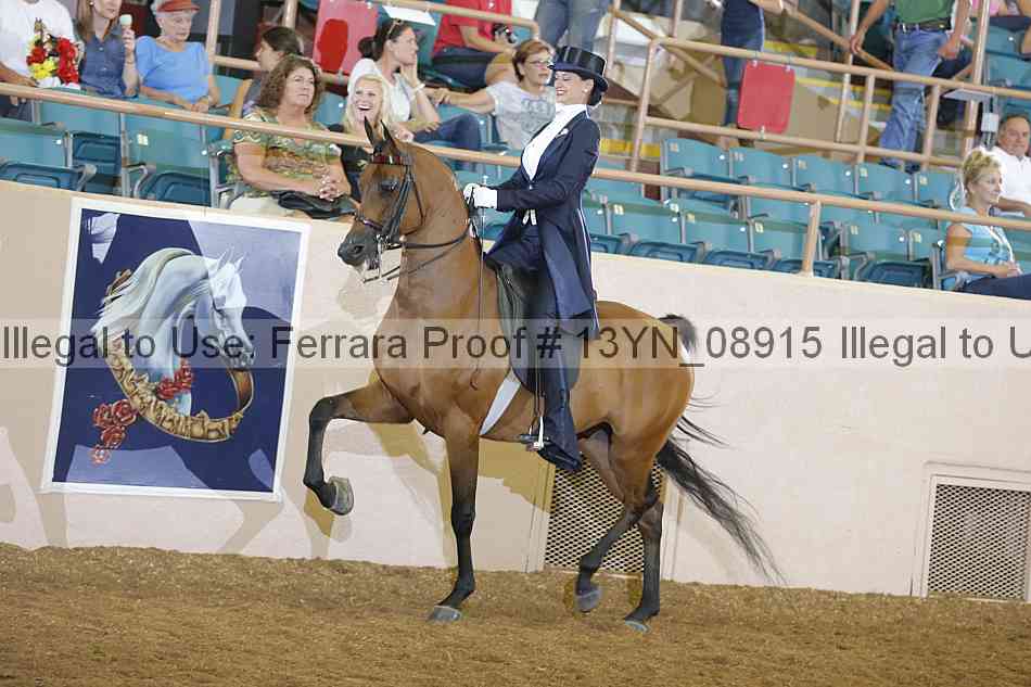 Proof 13yn_08915