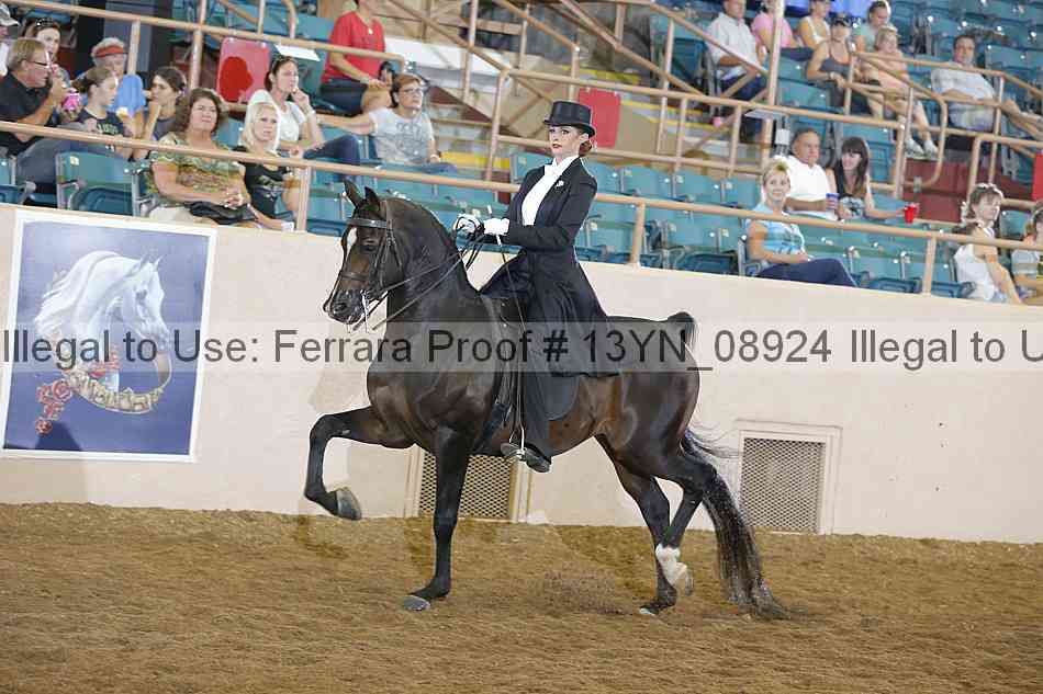 Proof 13yn_08924