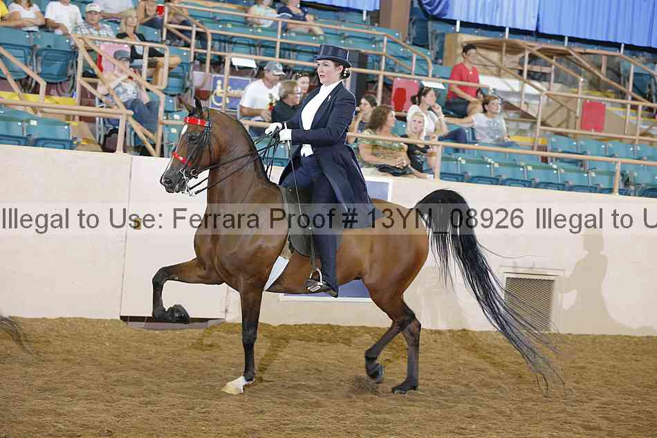 Proof 13yn_08926