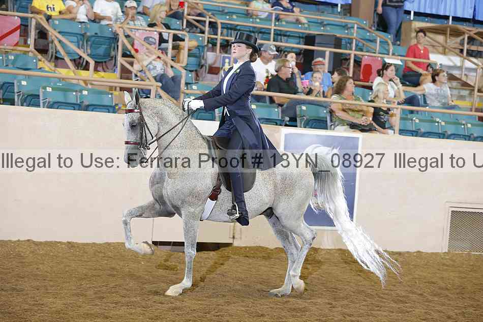 Proof 13yn_08927
