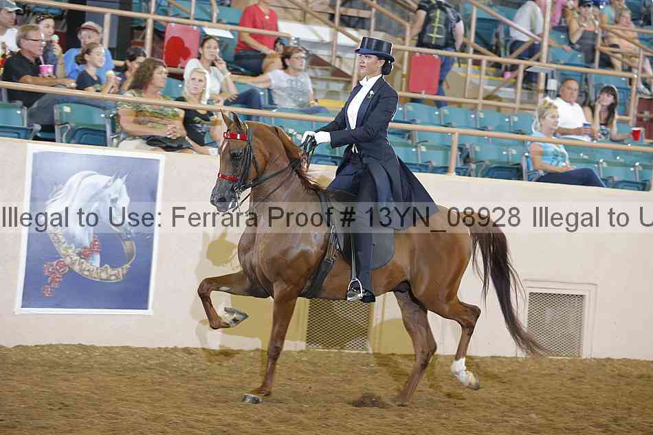 Proof 13yn_08928