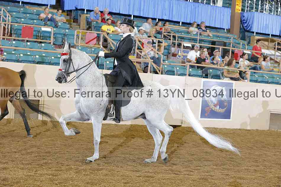 Proof 13yn_08934