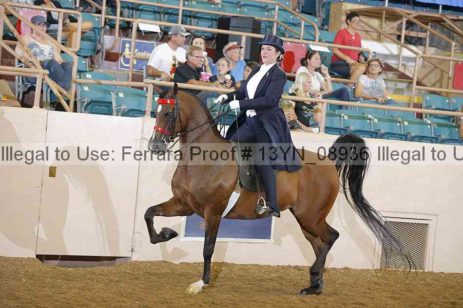 Proof 13yn_08936