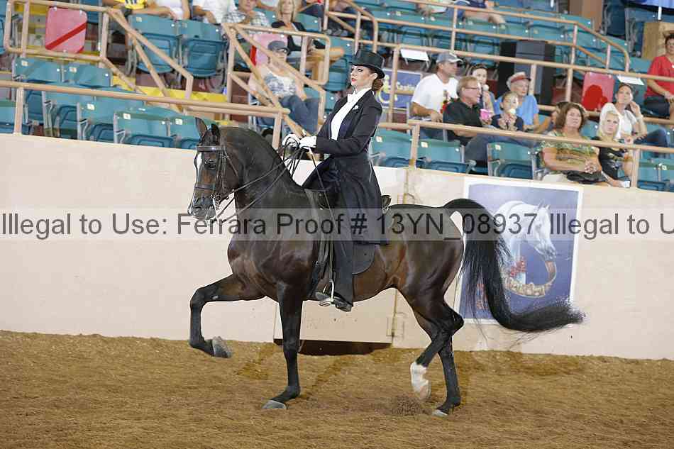 Proof 13yn_08937