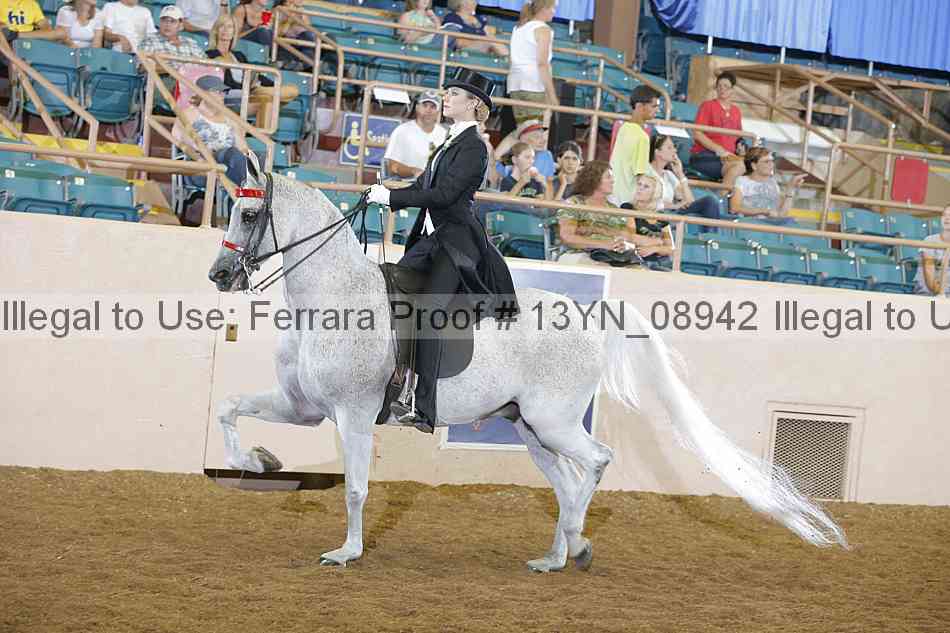 Proof 13yn_08942
