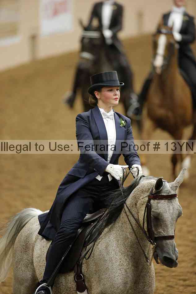 Proof 13yn_08943