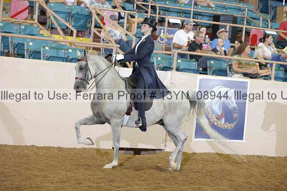 Proof 13yn_08944
