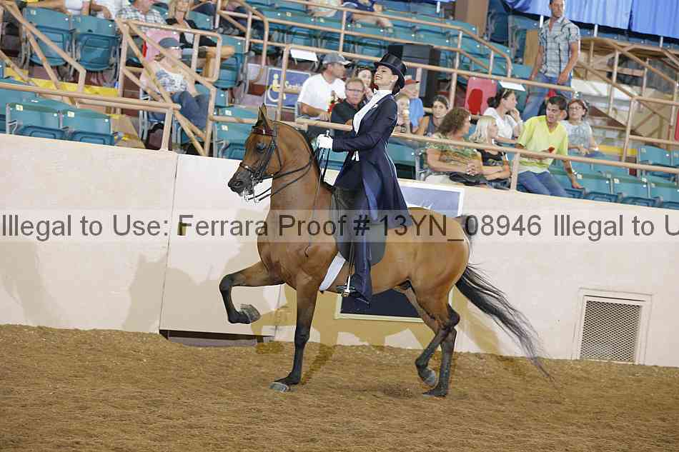 Proof 13yn_08946
