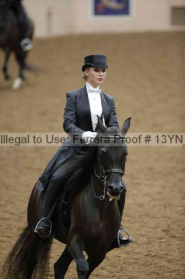 Proof 13yn_08947