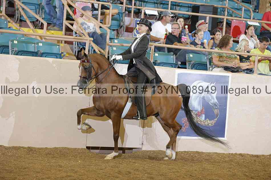 Proof 13yn_08949