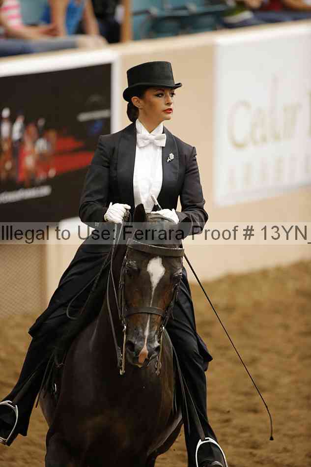 Proof 13yn_08951