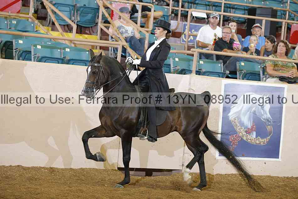 Proof 13yn_08952