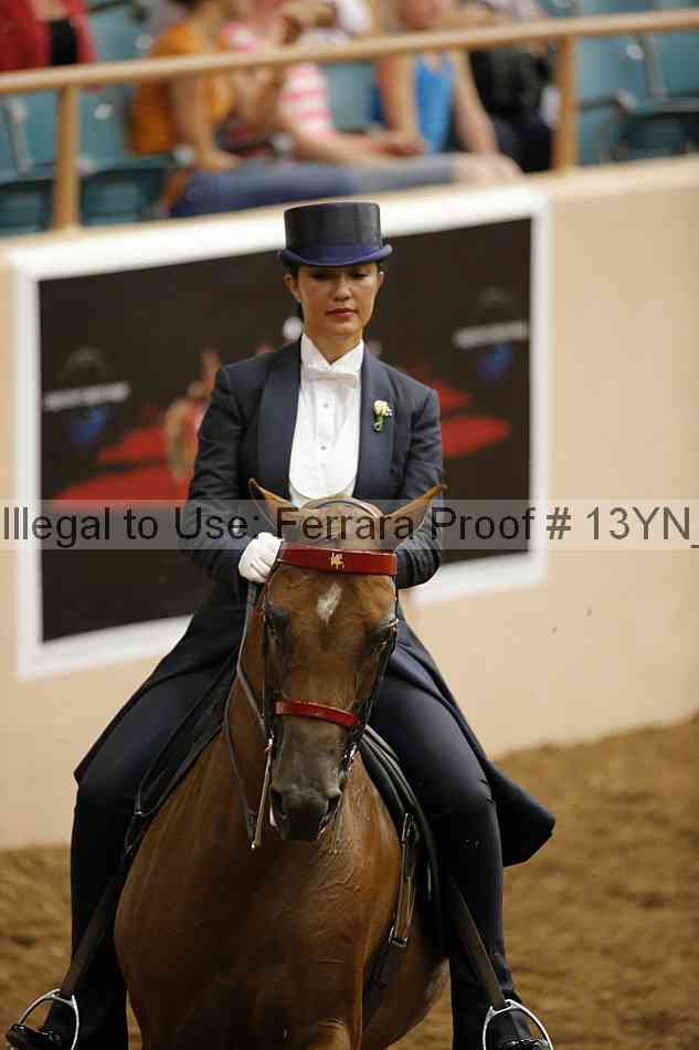 Proof 13yn_08953