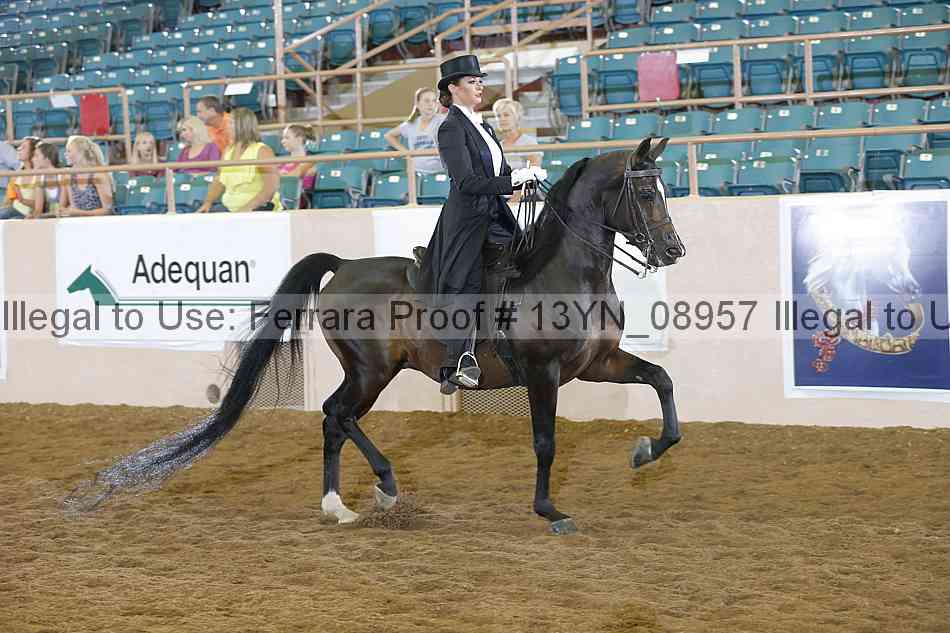 Proof 13yn_08957