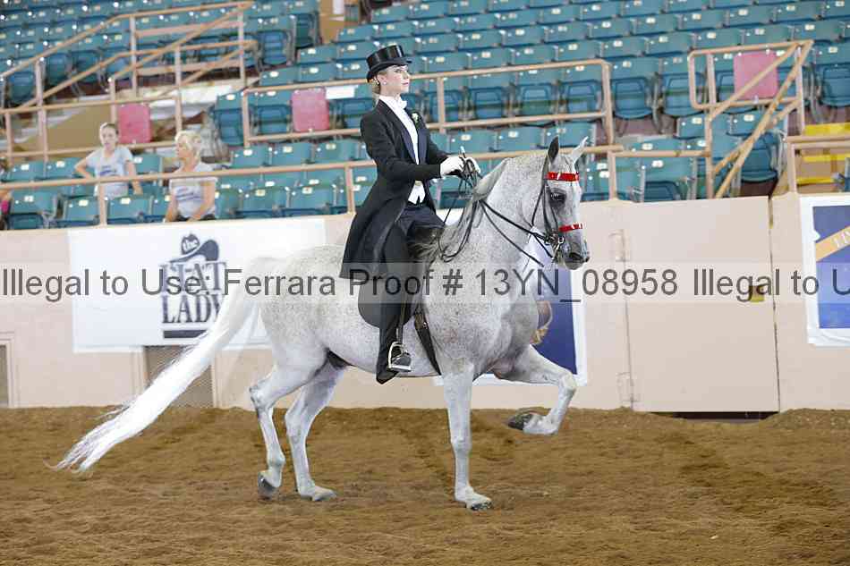 Proof 13yn_08958