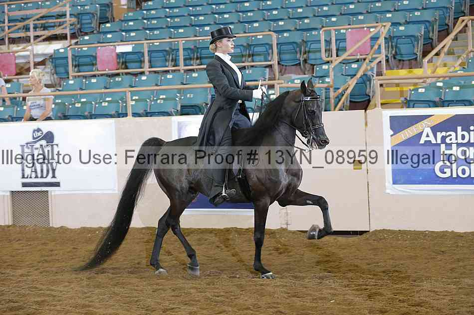 Proof 13yn_08959