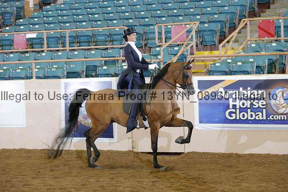 Proof 13yn_08960