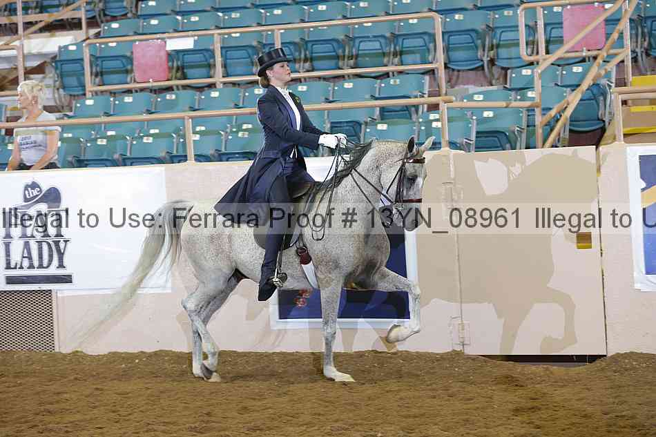 Proof 13yn_08961