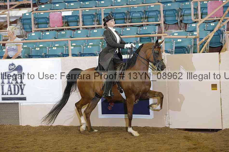Proof 13yn_08962