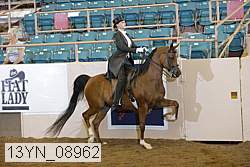 13yn_08962 proof