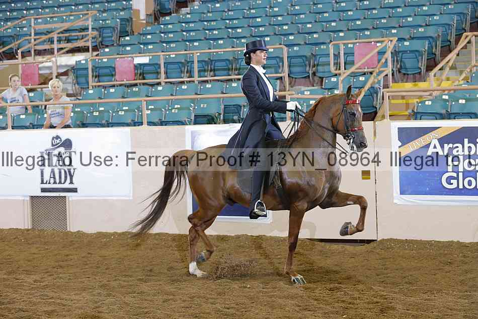 Proof 13yn_08964