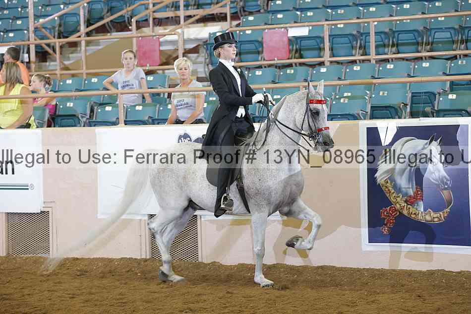 Proof 13yn_08965
