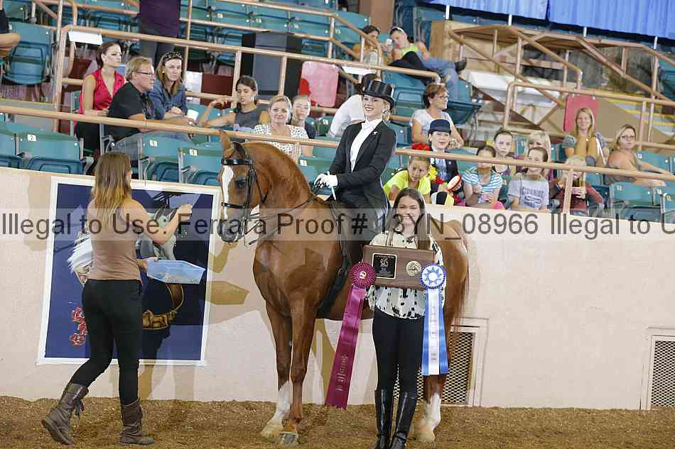 Proof 13yn_08966