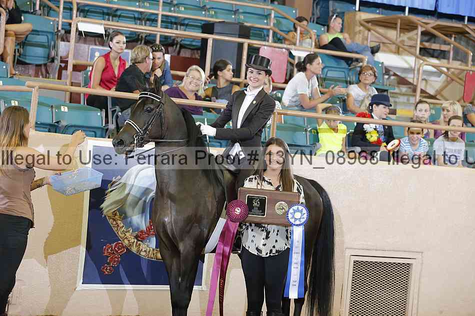 Proof 13yn_08968