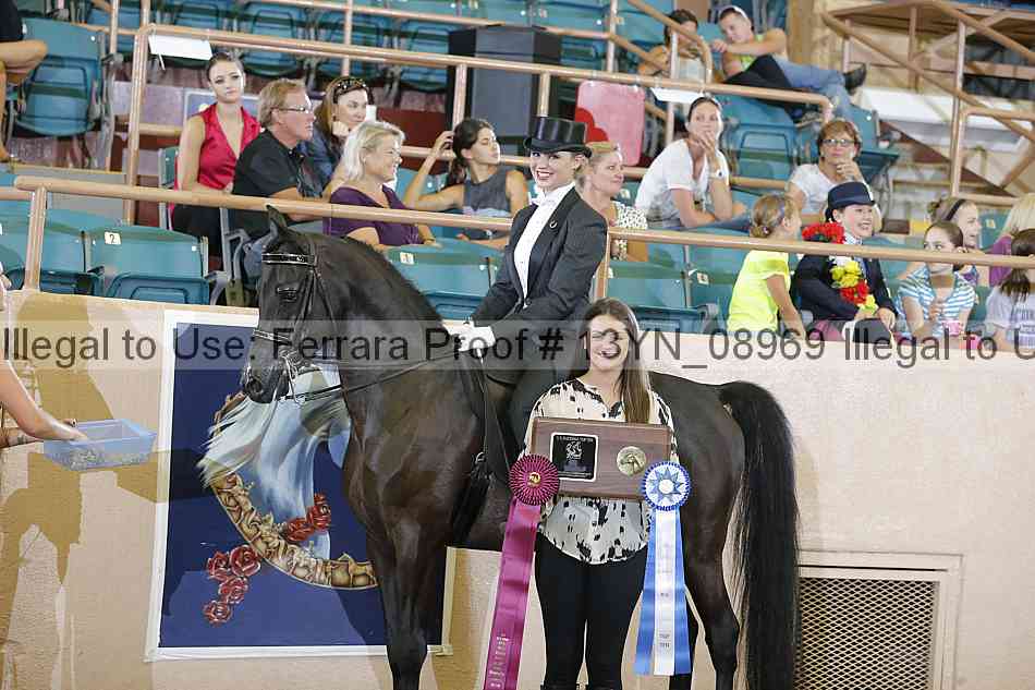 Proof 13yn_08969