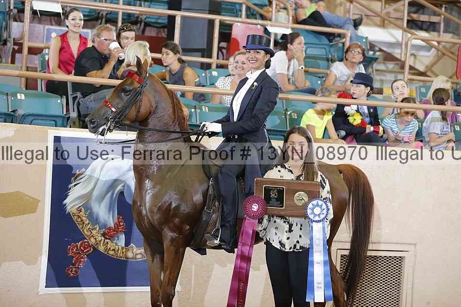Proof 13yn_08970