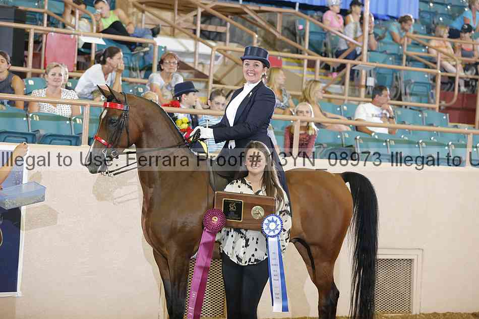 Proof 13yn_08973