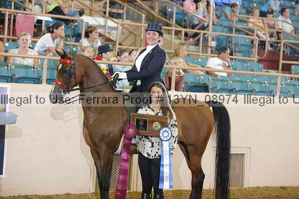 Proof 13yn_08974